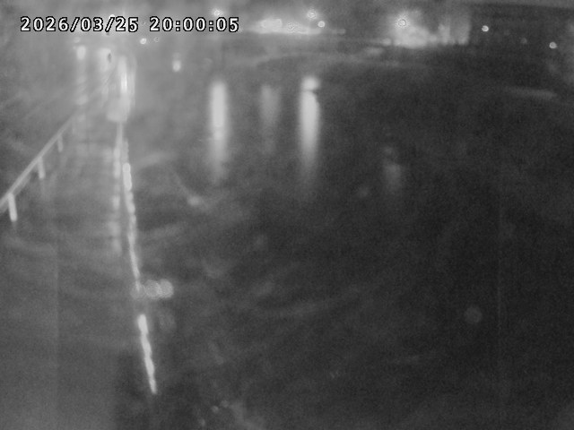 日野川４2026/03/26 11:00:00