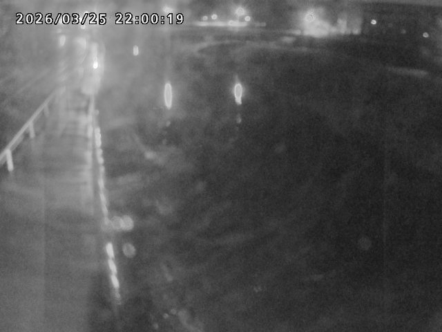 日野川４2026/03/26 11:00:00