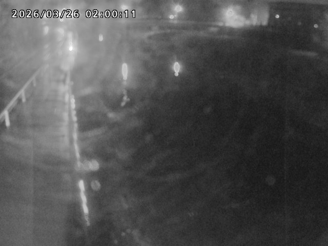 日野川４2026/03/26 11:00:00