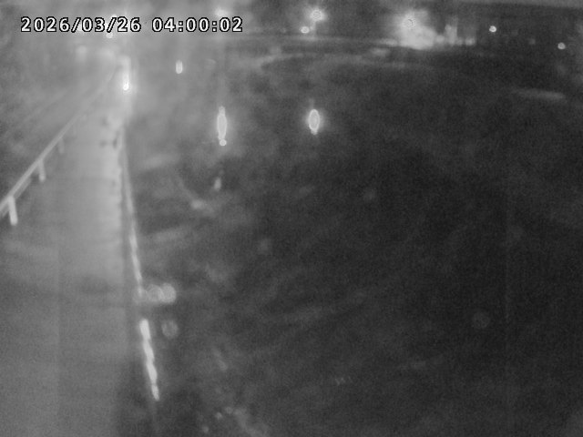 日野川４2026/03/26 11:00:00