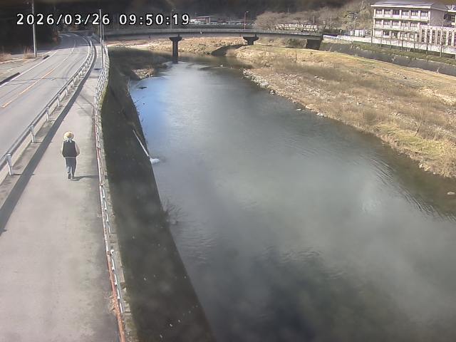 日野川４2026/03/26 11:00:00