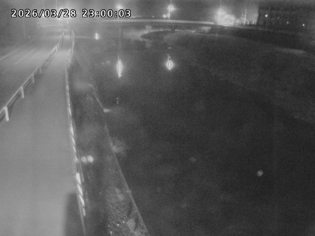 日野川４2026/03/29 12:50:00