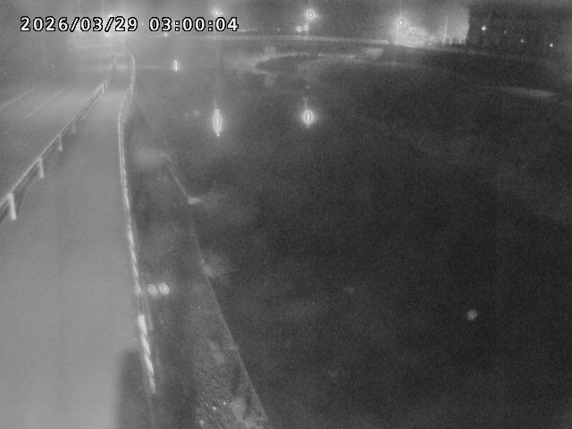 日野川４2026/03/29 12:50:00