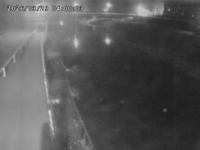 日野川４2026/03/29 12:50:00