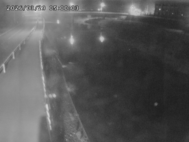 日野川４2026/03/29 12:50:00