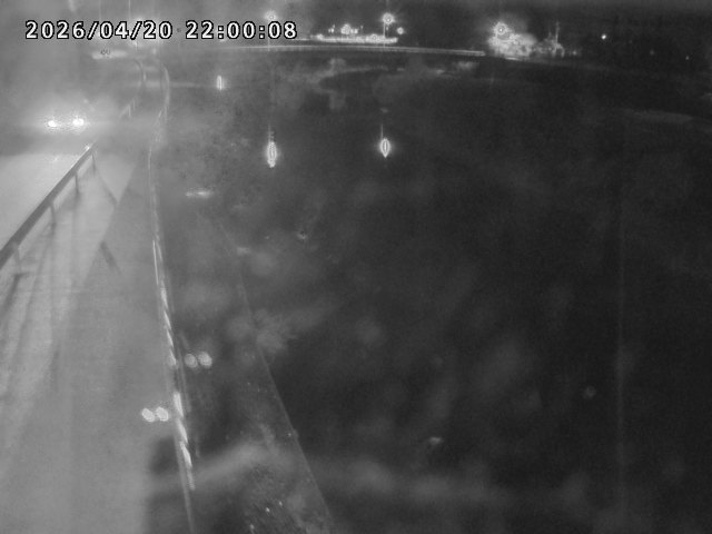 日野川４2026/04/20 23:30:00