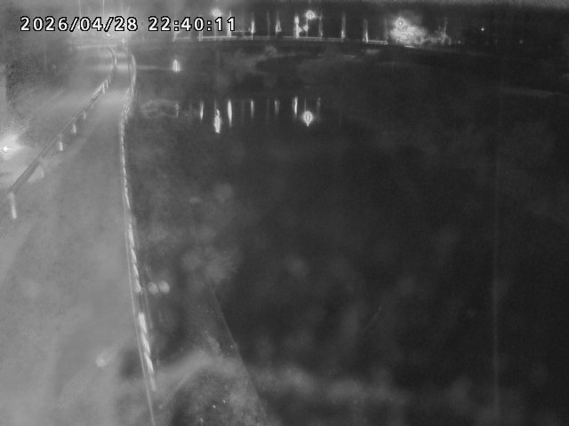 日野川４2026/04/29 2:10:00