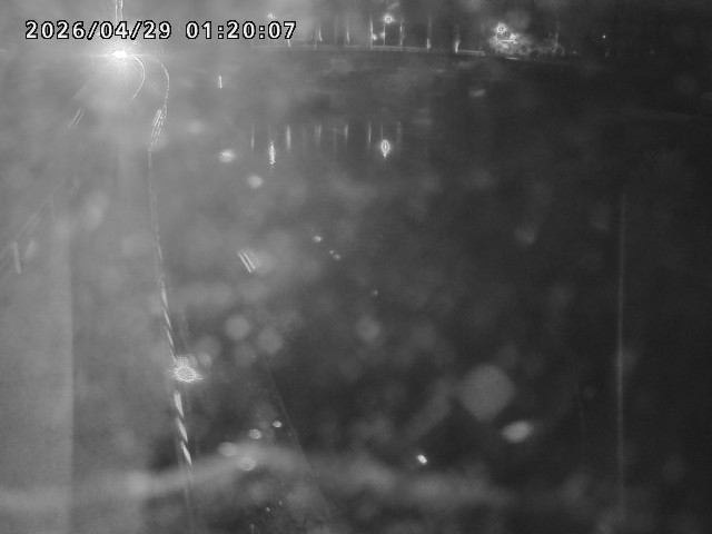 日野川４2026/04/29 2:10:00