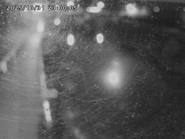 日野川42025/11/01 23:30:00