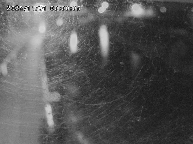 日野川42025/11/01 23:30:00