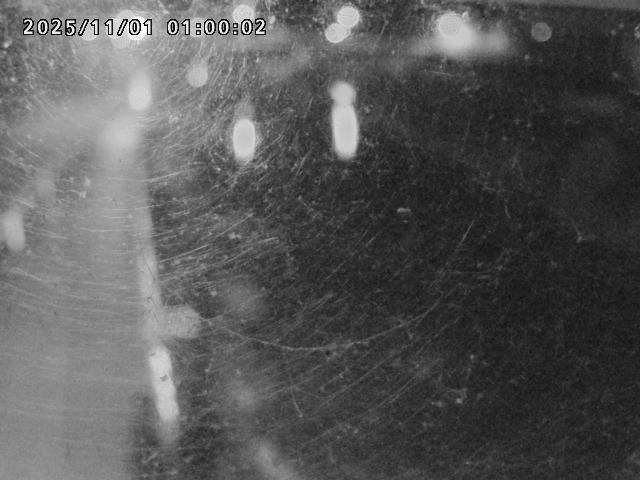 日野川42025/11/01 23:30:00