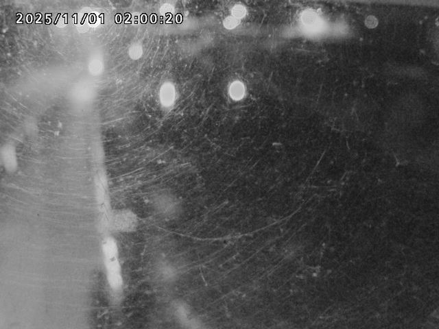 日野川42025/11/01 23:30:00