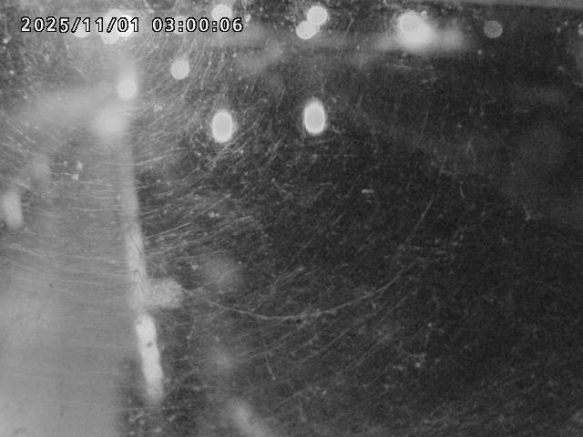 日野川42025/11/01 23:30:00