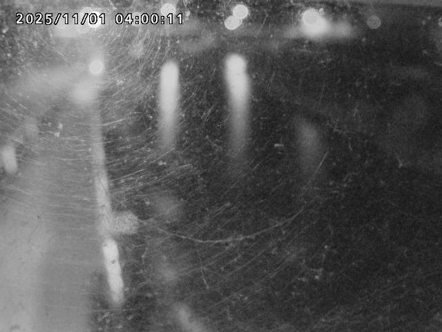 日野川42025/11/01 23:30:00