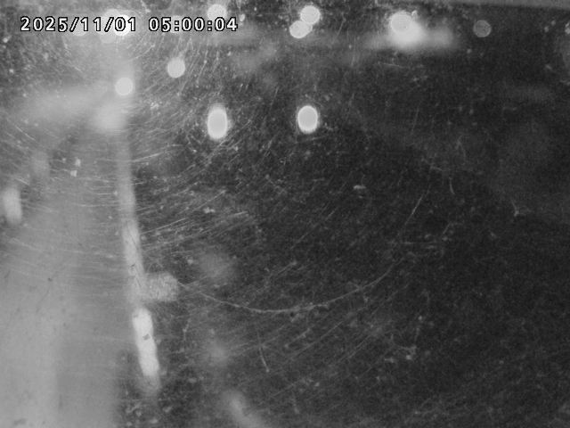 日野川42025/11/01 23:30:00