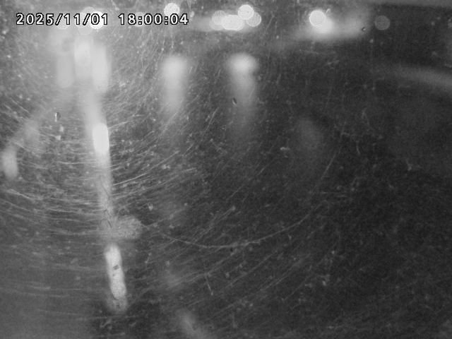 日野川42025/11/01 23:30:00