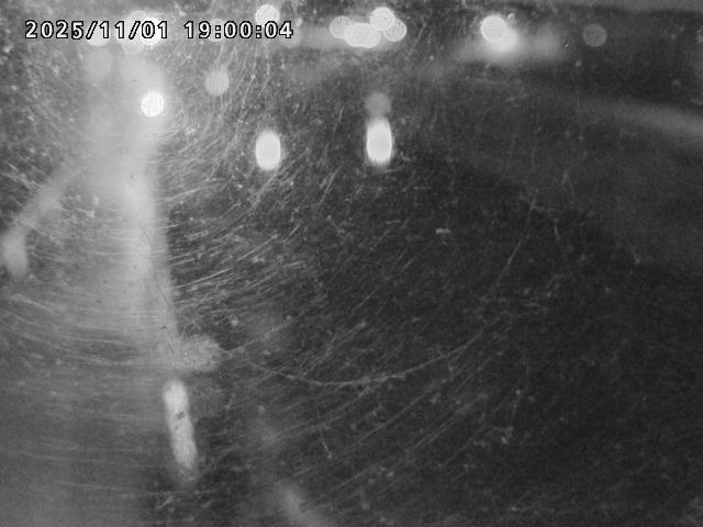 日野川42025/11/01 23:30:00