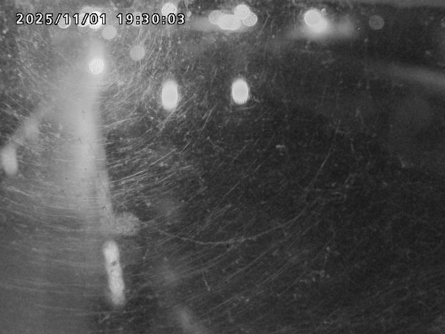 日野川42025/11/01 23:30:00