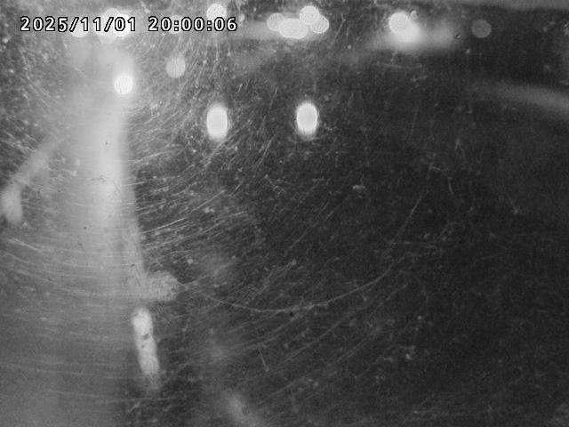 日野川42025/11/01 23:30:00