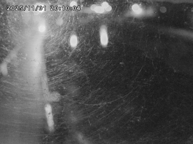 日野川42025/11/01 23:30:00