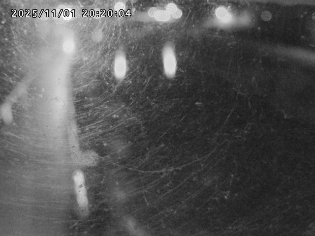 日野川42025/11/01 23:30:00