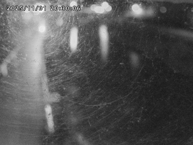 日野川42025/11/01 23:30:00