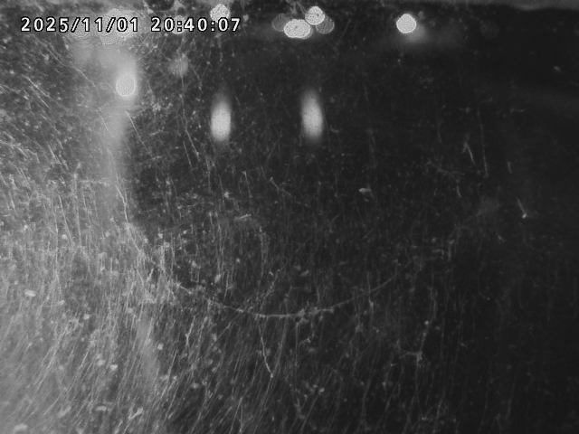 日野川42025/11/01 23:30:00