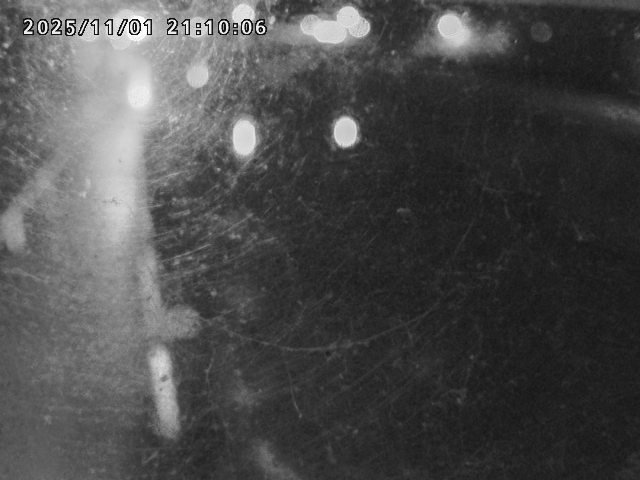 日野川42025/11/01 23:30:00