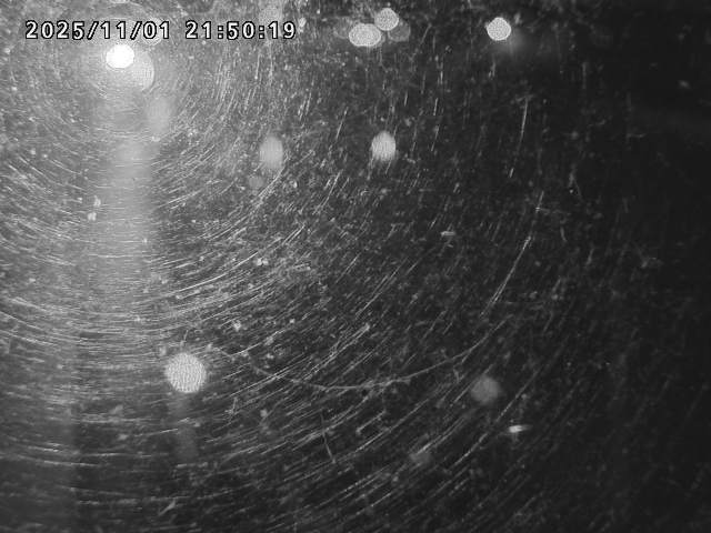 日野川42025/11/01 23:30:00