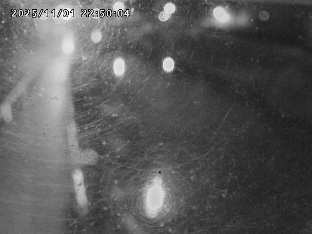 日野川42025/11/01 23:30:00