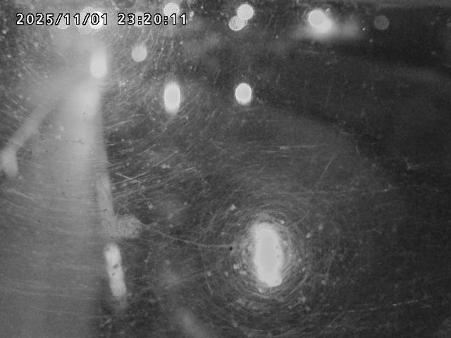 日野川42025/11/01 23:30:00