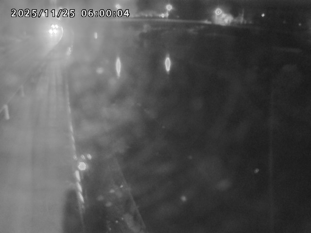 日野川４2025/11/26 1:00:00