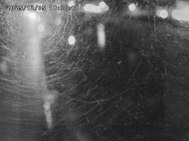 日野川４2025/12/06 1:50:00