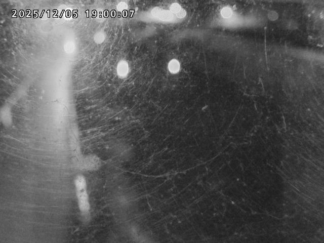 日野川４2025/12/06 1:50:00