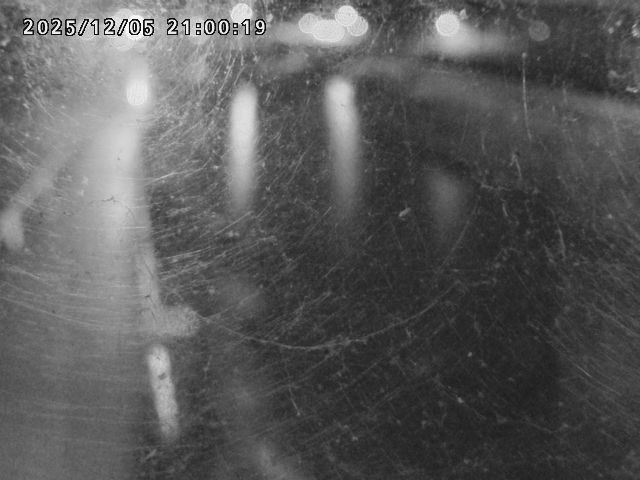 日野川４2025/12/06 1:50:00