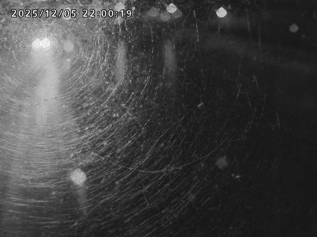 日野川４2025/12/06 1:50:00