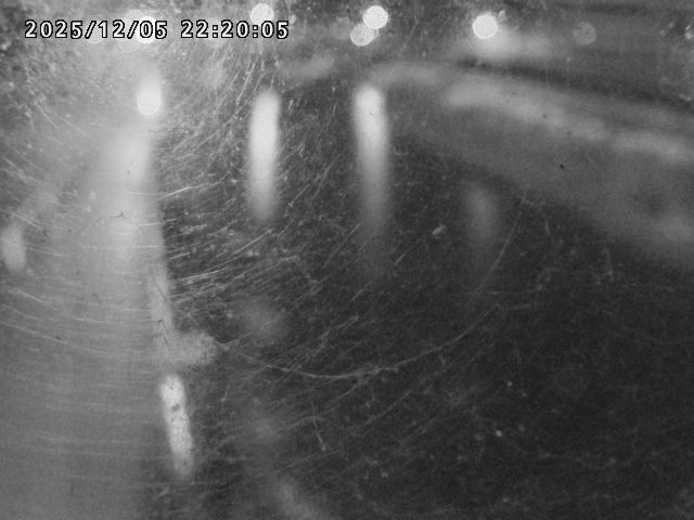 日野川４2025/12/06 1:50:00