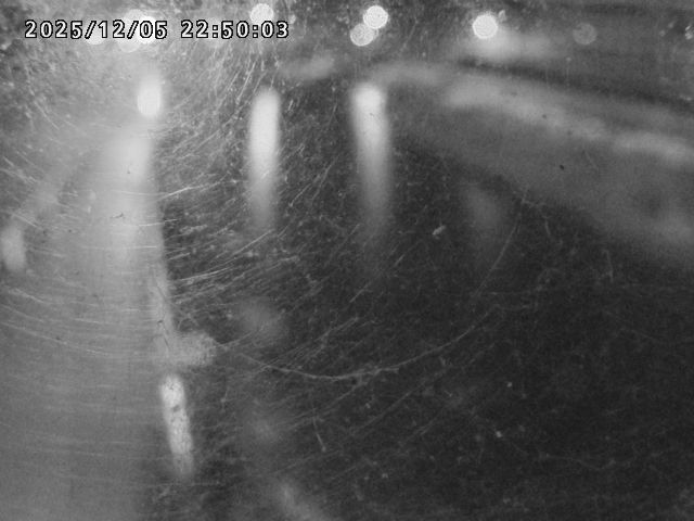 日野川４2025/12/06 1:50:00