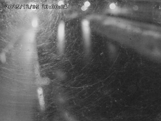 日野川４2025/12/06 1:50:00