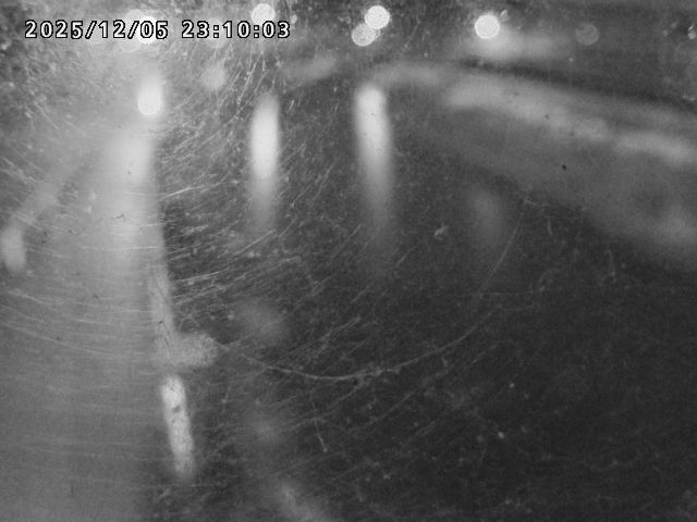 日野川４2025/12/06 1:50:00