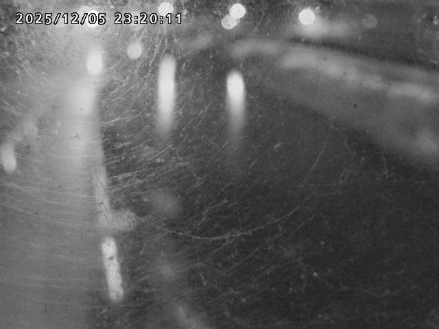 日野川４2025/12/06 1:50:00