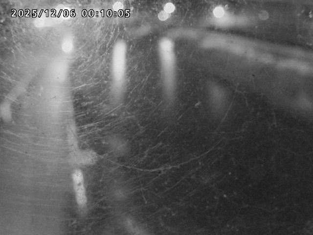 日野川４2025/12/06 1:50:00