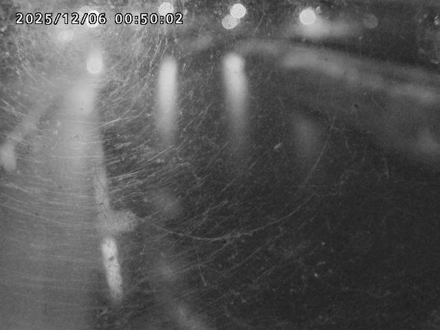 日野川４2025/12/06 1:50:00