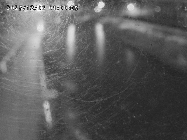 日野川４2025/12/06 1:50:00