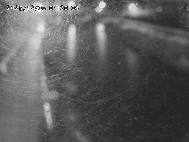 日野川４2025/12/06 1:50:00