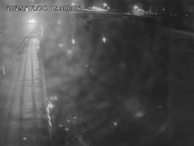 日野川４2025/12/09 2:10:00