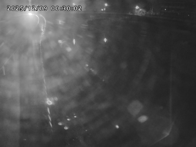 日野川４2025/12/09 2:10:00