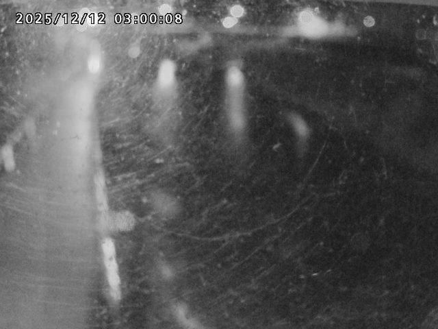 日野川４2025/12/13 3:40:00