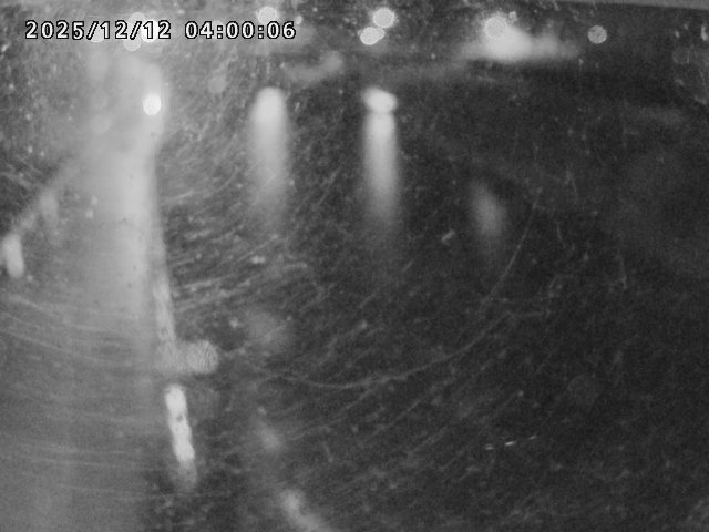 日野川４2025/12/13 3:40:00