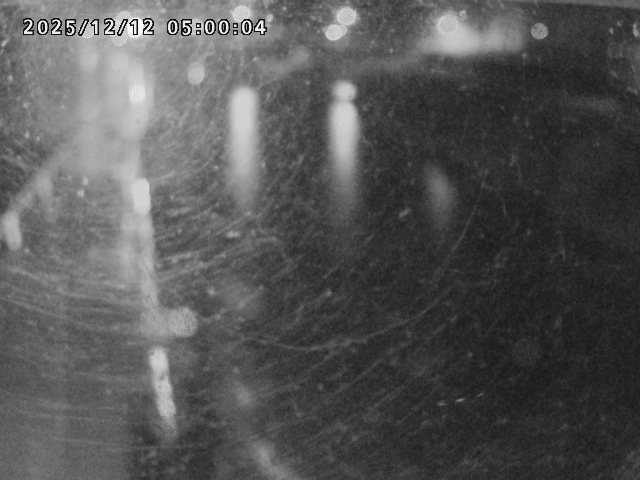 日野川４2025/12/13 3:40:00